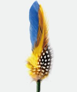 Effigyappare.shop00dcd67547 1