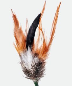 Effigyappare.shop347bcf00a7 1