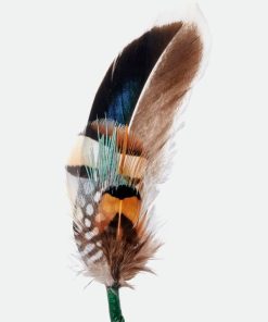 Effigyappare.shop37fc41342e 1