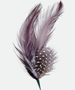 Effigyappare.shop3e12718dc9 1